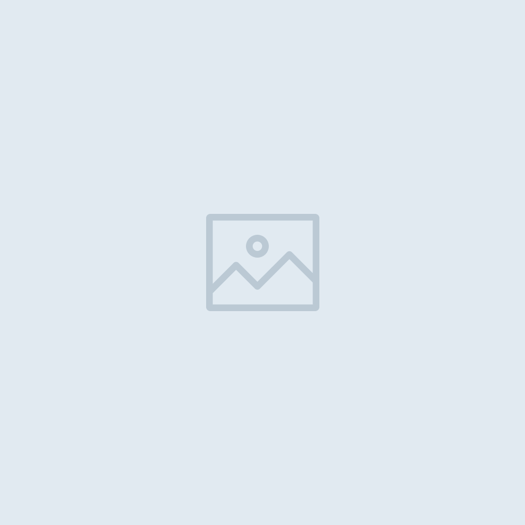 Software Developer